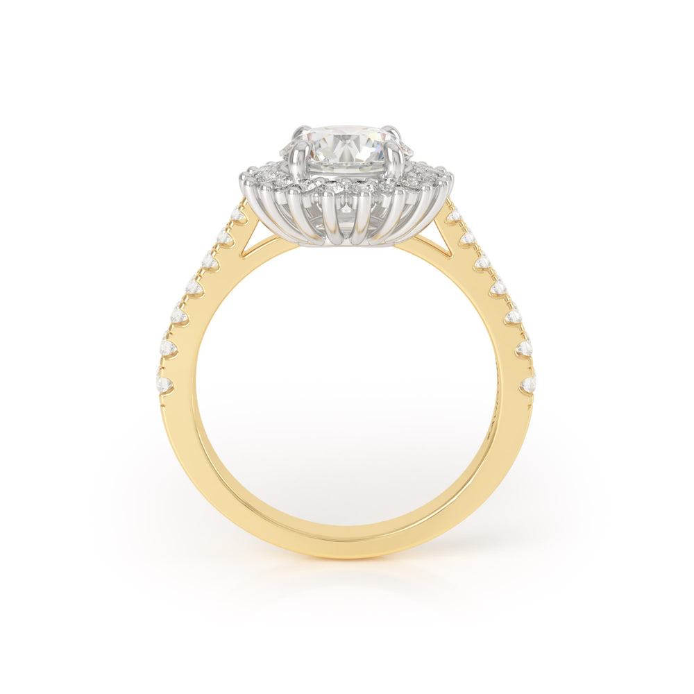 
                  
                    Asteri Diamond Ring in 18k Yellow Gold and Platinum
                  
                