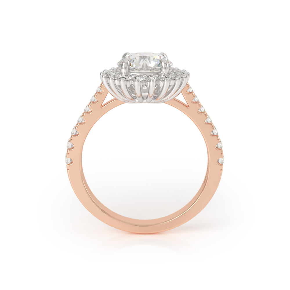 
                  
                    Asteri Diamond Halo Ring in Rose Gold and Platinum
                  
                